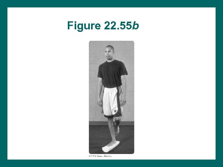 Figure 22. 55 b 