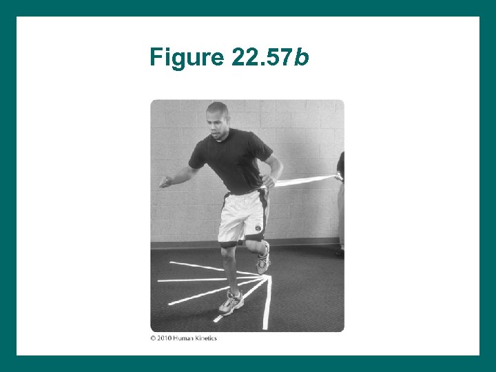 Figure 22. 57 b 