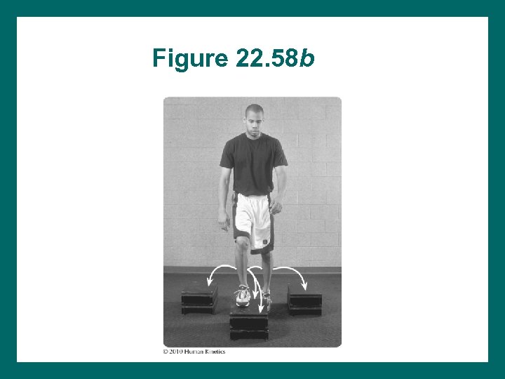 Figure 22. 58 b 