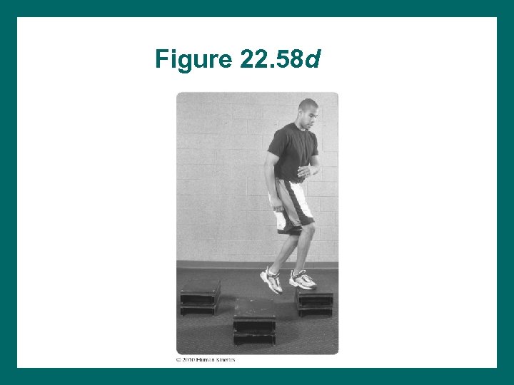 Figure 22. 58 d 