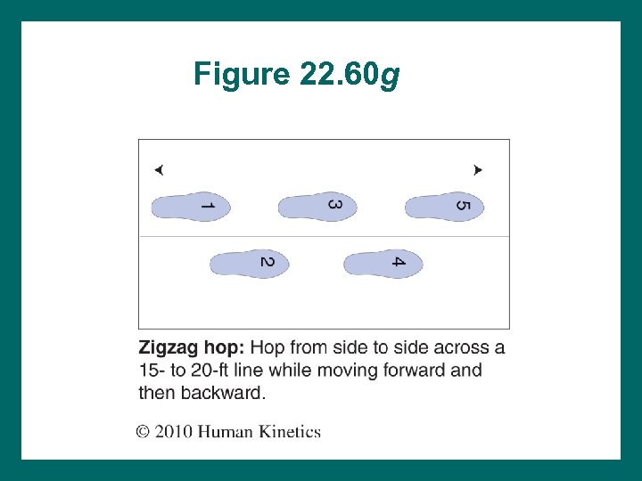 Figure 22. 60 g 