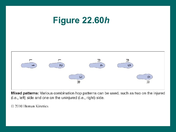 Figure 22. 60 h 