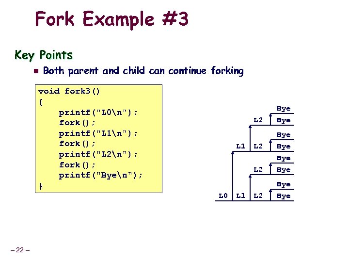 Fork Example #3 Key Points n Both parent and child can continue forking void