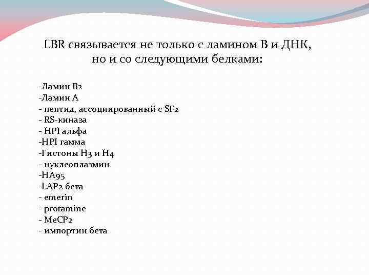 LBR связывается не только с ламином B и ДНК, но и со следующими белками: