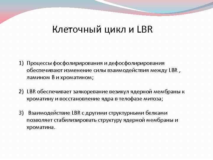 Клеточный цикл и LBR 1) Процессы фосфолирирования и дефосфолирирования обеспечивают изменение силы взаимодействия между