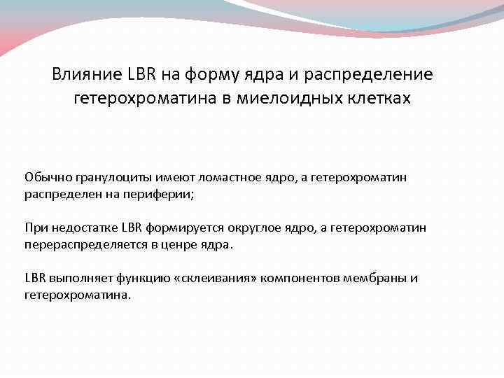 Влияние LBR на форму ядра и распределение гетерохроматина в миелоидных клетках Обычно гранулоциты имеют