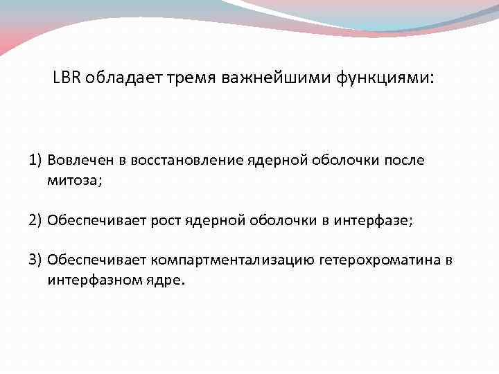 LBR обладает тремя важнейшими функциями: 1) Вовлечен в восстановление ядерной оболочки после митоза; 2)