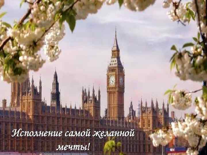 Исполнение самой желанной мечты! 