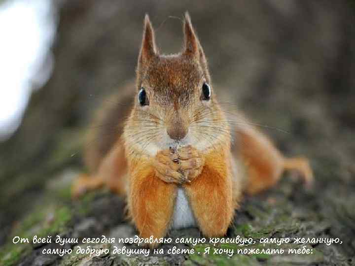 От всей души сегодня поздравляю самую красивую, самую желанную, самую добрую девушку на свете.