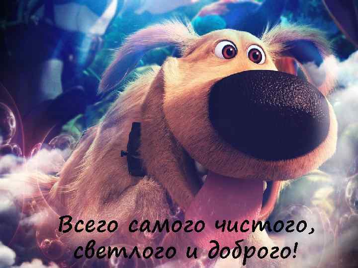 Всего самого чистого, светлого и доброго! 