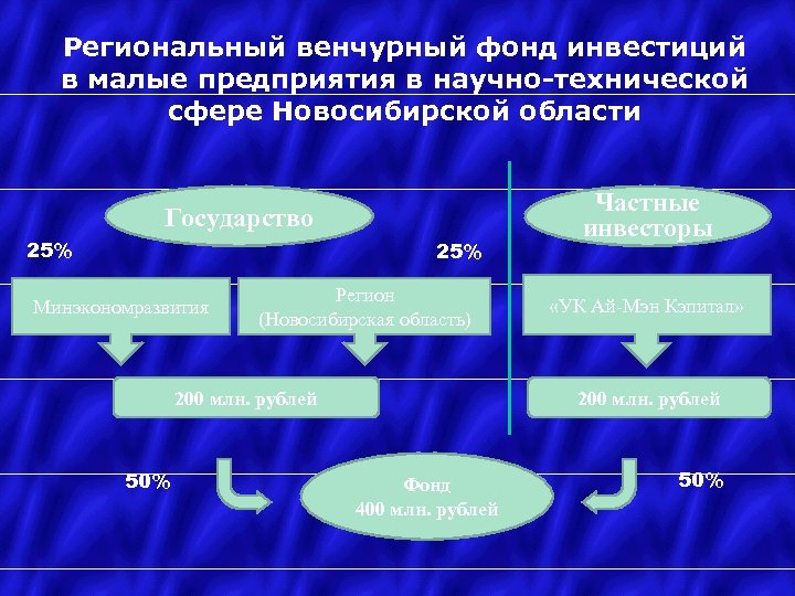 Региональный венчурный фонд инвестиций в малые предприятия в научно-технической сфере Новосибирской области Государство 25%