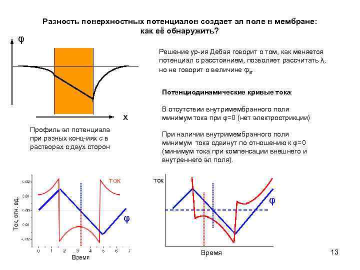 φ Разность поверхностных потенциалов создает эл поле в мембране: как её обнаружить? Решение ур-ия