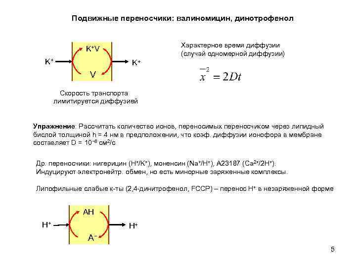 Подвижные переносчики: валиномицин, динотрофенол Характерное время диффузии (случай одномерной диффузии) K+V K+ K+ V