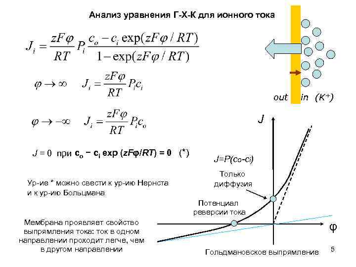 Анализ уравнения Г-Х-К для ионного тока out in (K+) J J = 0 при