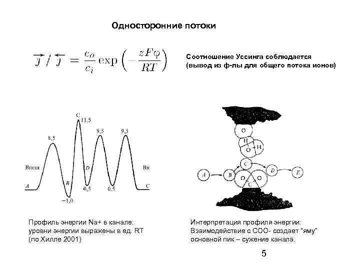 Односторонние потоки Соотношение Уссинга соблюдается (вывод из ф-лы для общего потока ионов) Профиль энергии