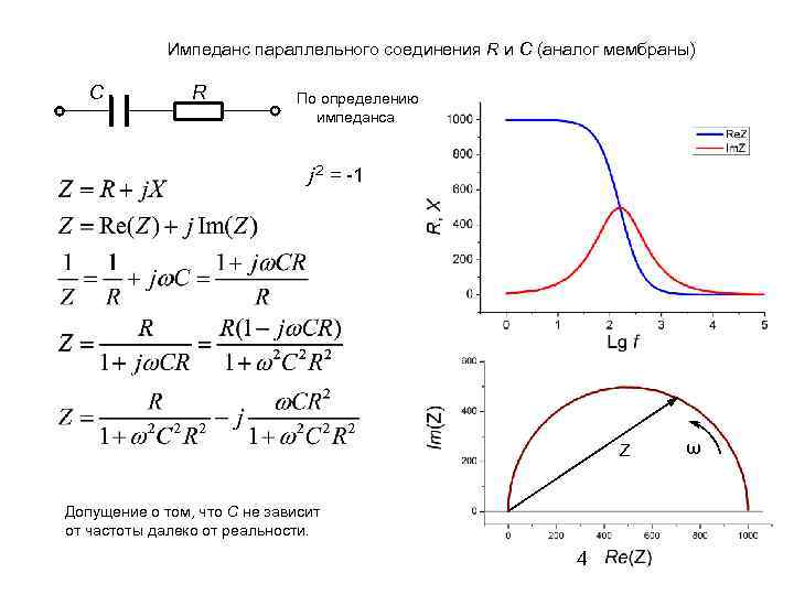 Импеданс параллельного соединения R и C (аналог мембраны) C R По определению импеданса j