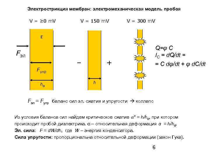 Электрострикция мембран: электромеханическая модель пробоя V = ≥ 0 m. V V = 150