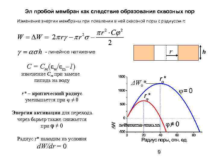 Эл пробой мембран как следствие образования сквозных пор Изменение энергии мембраны при появлении в