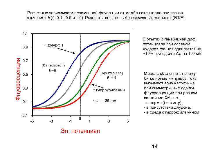 Расчетные зависимости переменной флуор-ции от мембр потенциала при разных значениях θ (0, 0. 1,