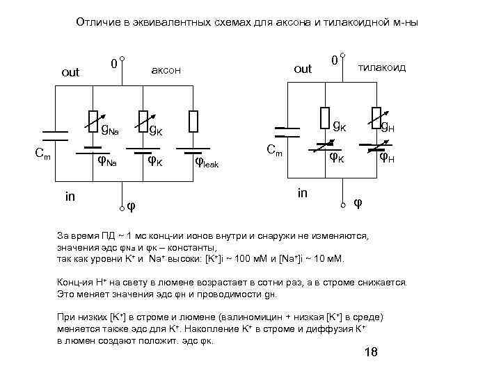 Отличие в эквивалентных схемах для аксона и тилакоидной м-ны out 0 g. Na in