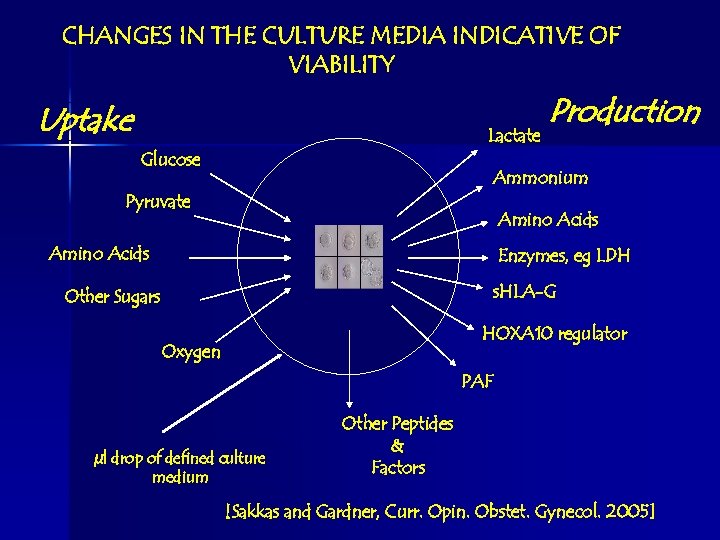 CHANGES IN THE CULTURE MEDIA INDICATIVE OF VIABILITY Uptake Lactate Glucose Production Ammonium Pyruvate