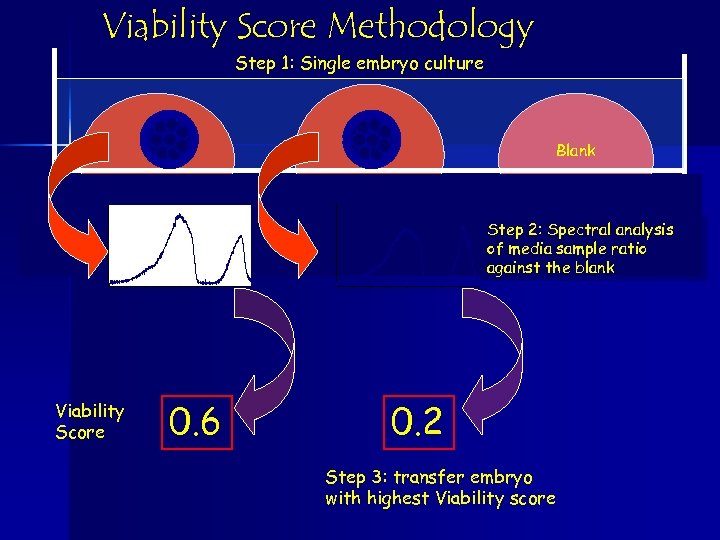 Viability Score Methodology Step 1: Single embryo culture Blank Step 2: Spectral analysis of