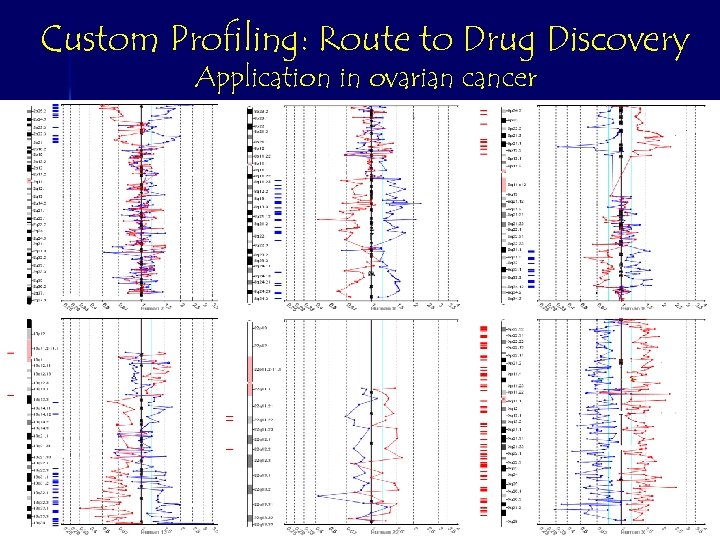 Custom Profiling: Route to Drug Discovery Application in ovarian cancer Chromosome segment 8 q