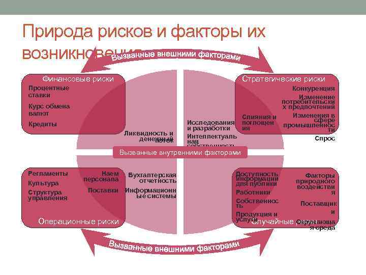 Природа рисков и факторы их возникновения Финансовые риски Стратегические риски Процентные ставки Курс обмена