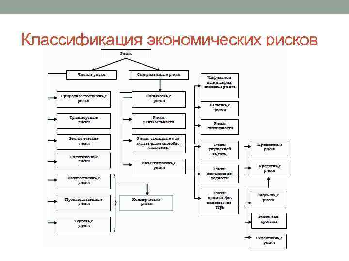 Связь названных автором обменных экономических рисков. Классификация риска в экономике.