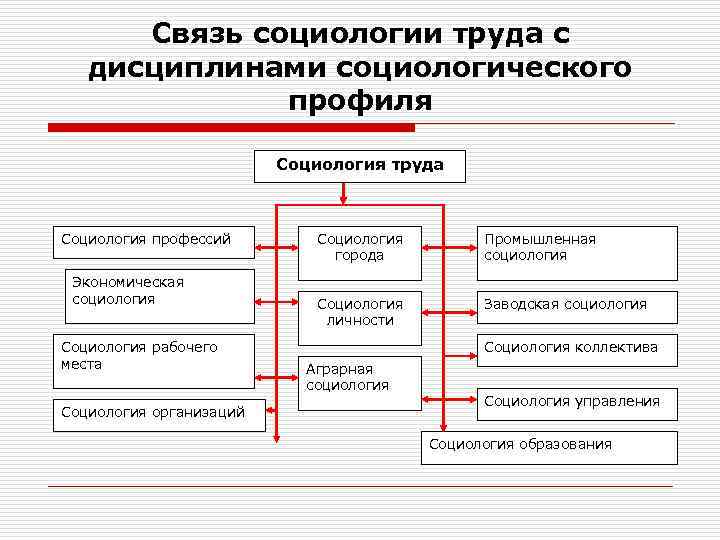 Схема структурных связей социологического знания