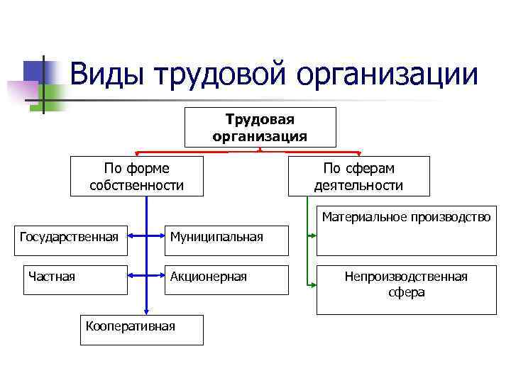 8 видов труда. Виды трудовых организаций. Трудовая организация. Трудовая организации по форме собственности. Виды формы субъекты трудовой деятельности.