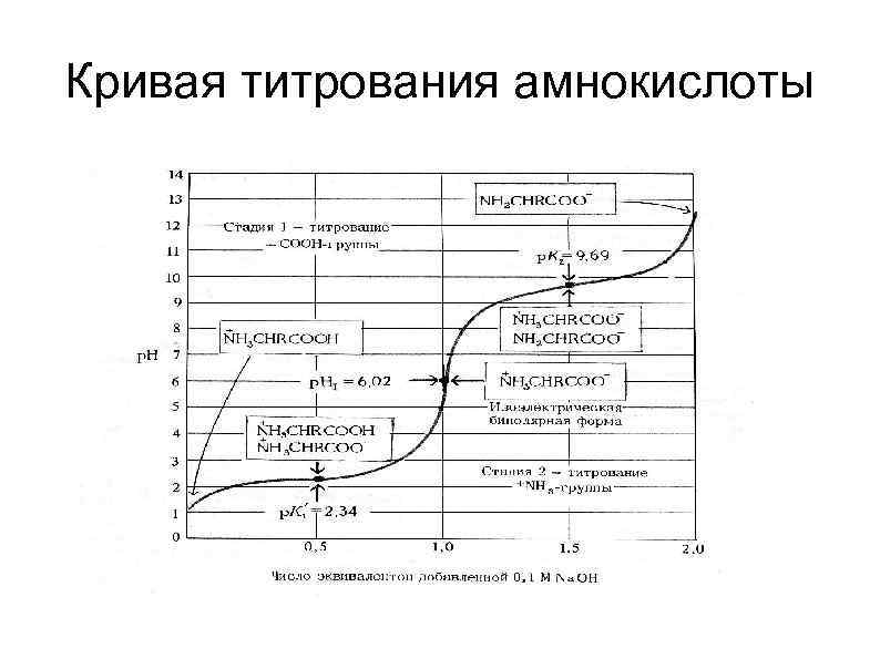 Кривая титрования амнокислоты 