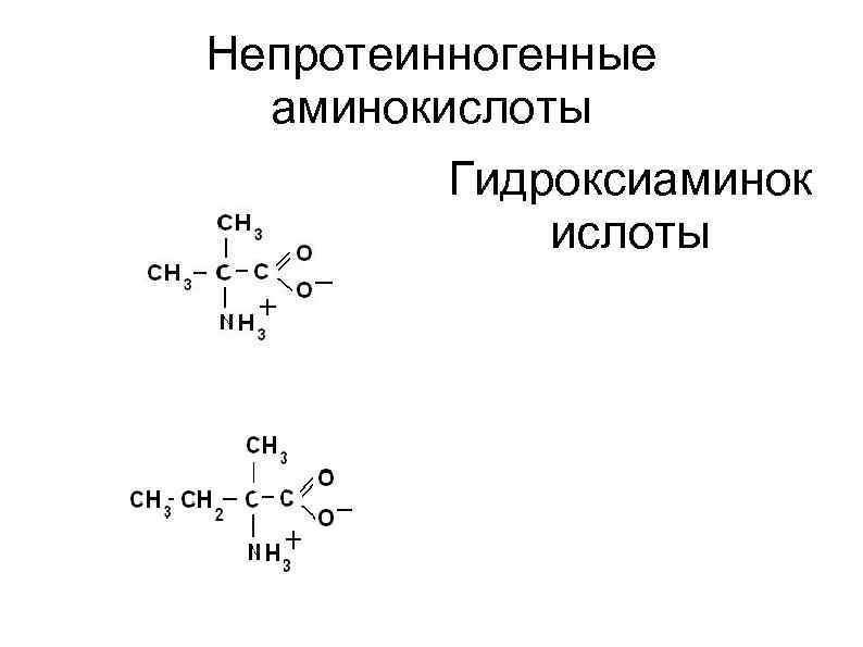 Непротеинногенные аминокислоты Гидроксиаминок ислоты 