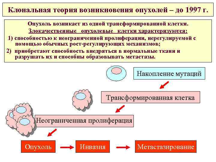 Обнаружены клетки трансформации