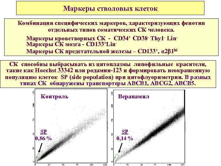 Маркеры стволовых клеток Комбинации специфических маркеров, характеризующих фенотип отдельных типов соматических СК человека. Маркеры