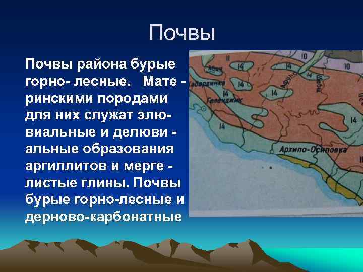 Почвы района бурые горно- лесные. Мате ринскими породами для них служат элювиальные и делюви