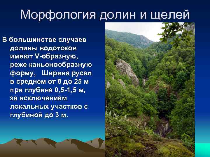 Морфология долин и щелей В большинстве случаев долины водотоков имеют V-образную, реже каньонообразную форму,