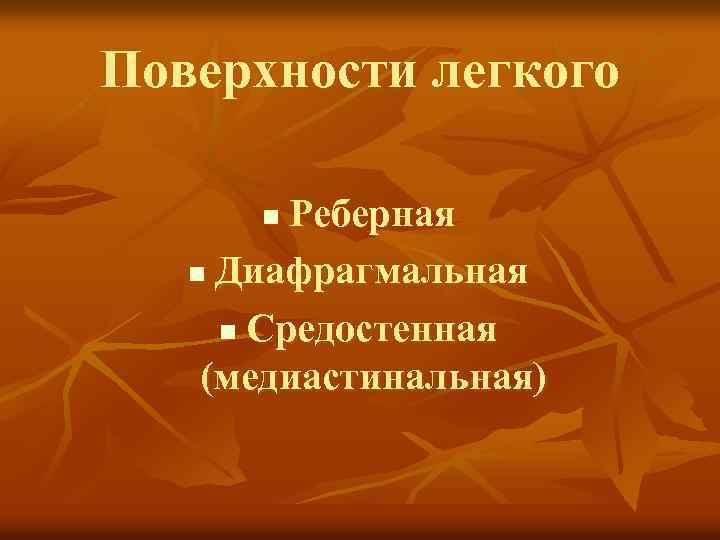 Поверхности легкого Реберная n Диафрагмальная n Средостенная (медиастинальная) n 