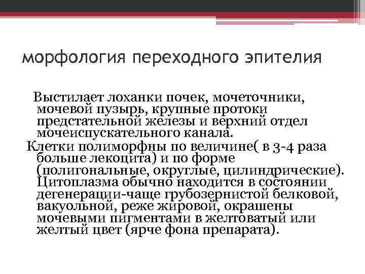 морфология переходного эпителия Выстилает лоханки почек, мочеточники, мочевой пузырь, крупные протоки предстательной железы и