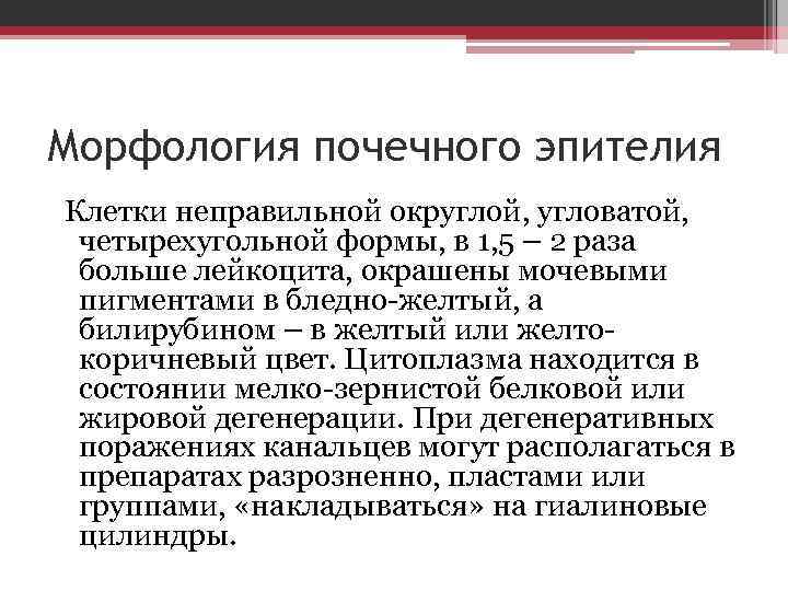 Морфология почечного эпителия Клетки неправильной округлой, угловатой, четырехугольной формы, в 1, 5 – 2