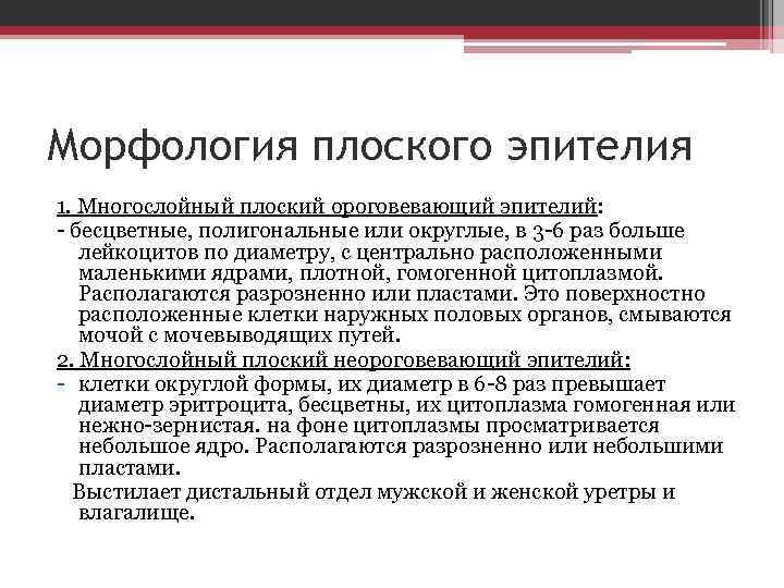 Морфология плоского эпителия 1. Многослойный плоский ороговевающий эпителий: - бесцветные, полигональные или округлые, в