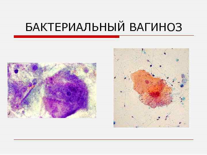 Что значит адекватность цитологического образца