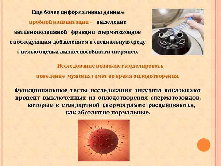 Еще более информативны данные пробной капацитации – выделение активноподвижной фракции сперматозоидов с последующим добавлением
