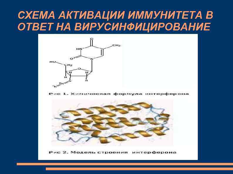 СХЕМА АКТИВАЦИИ ИММУНИТЕТА В ОТВЕТ НА ВИРУСИНФИЦИРОВАНИЕ 