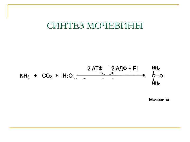 СИНТЕЗ МОЧЕВИНЫ 