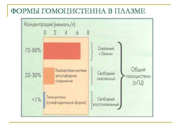 ФОРМЫ ГОМОЦИСТЕИНА В ПЛАЗМЕ 