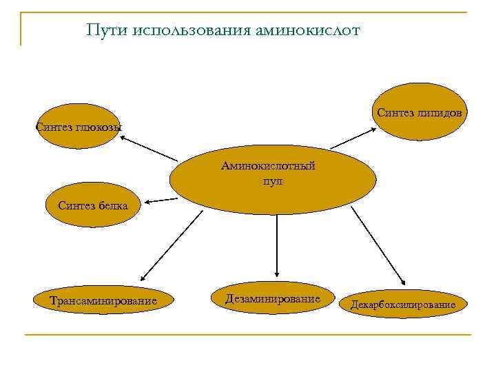 Пути использования аминокислот Синтез липидов Синтез глюкозы Аминокислотный пул Синтез белка Трансаминирование Дезаминирование Декарбоксилирование