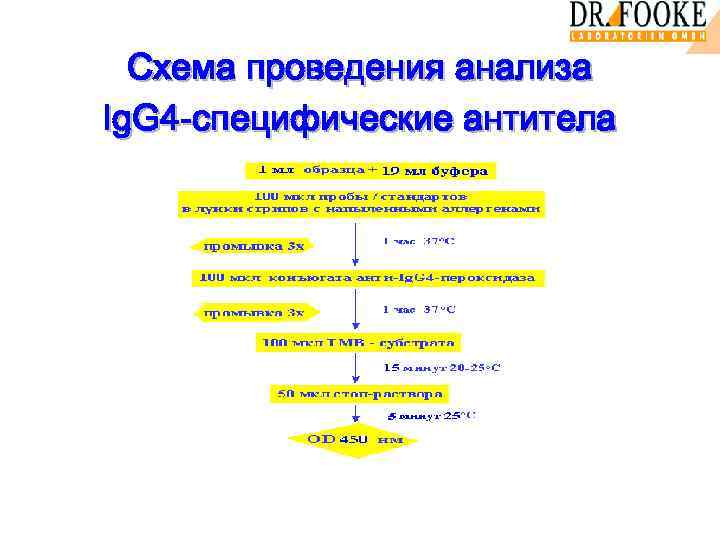 Схема провeдения анализа Ig. G 4 -специфические антитела 