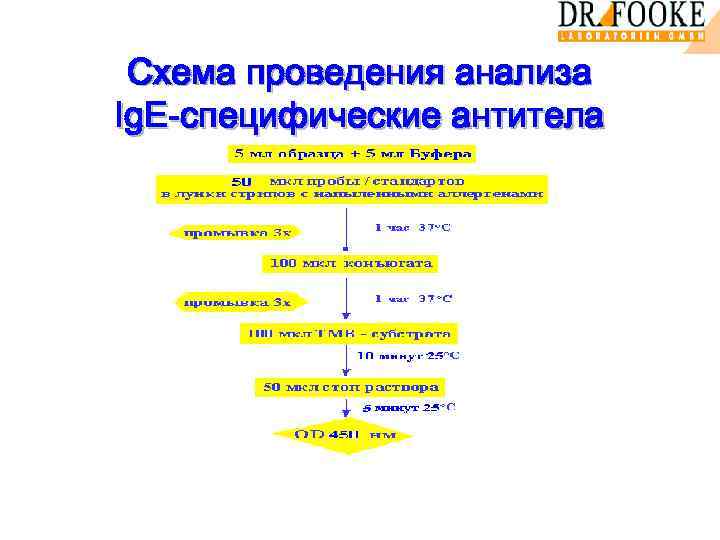 Схема проведения анализа Ig. E-специфические антитела 