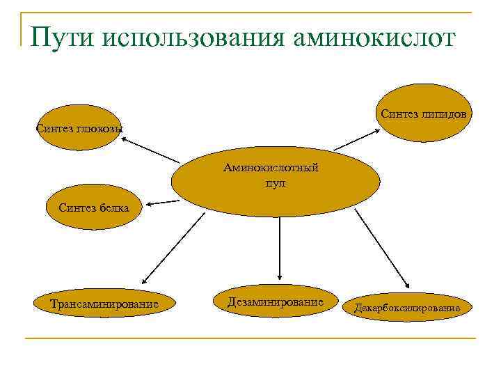 Схема применение аминокислот